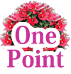 ポイント