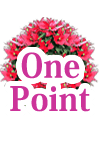 ポイント